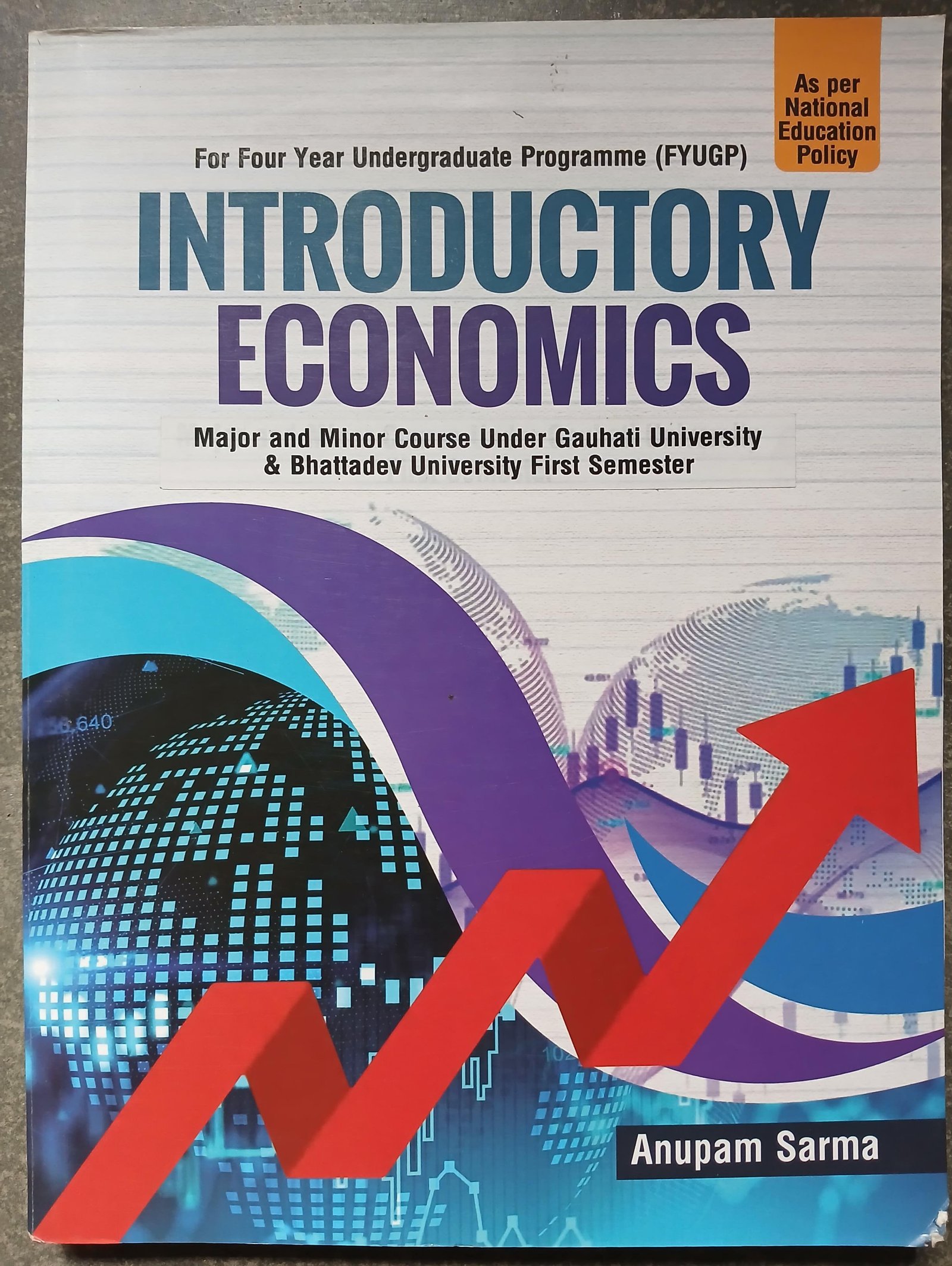 INTRODUCTORY ECONOMICS